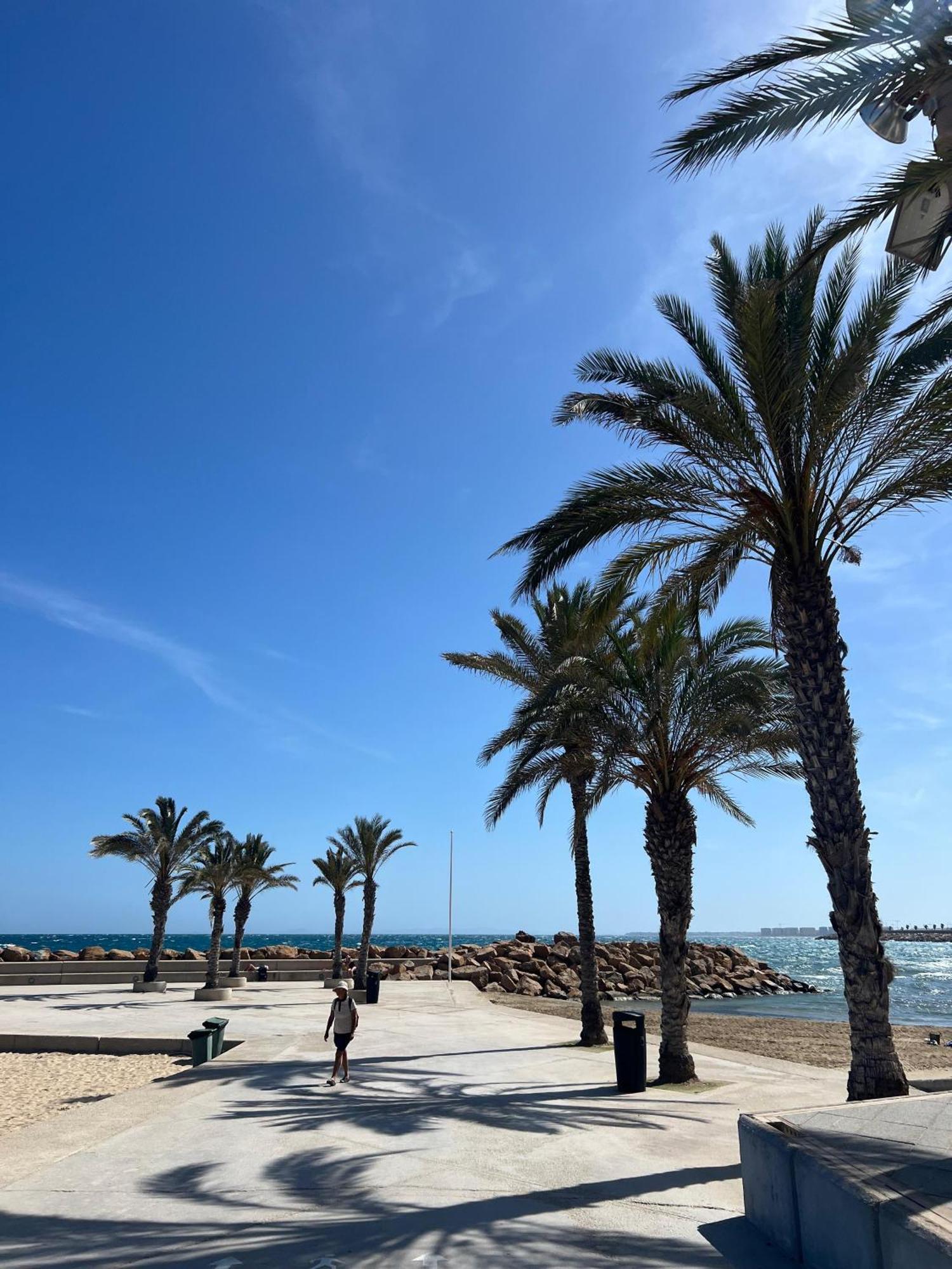 Appartement Torrevieja Alicante 외부 사진