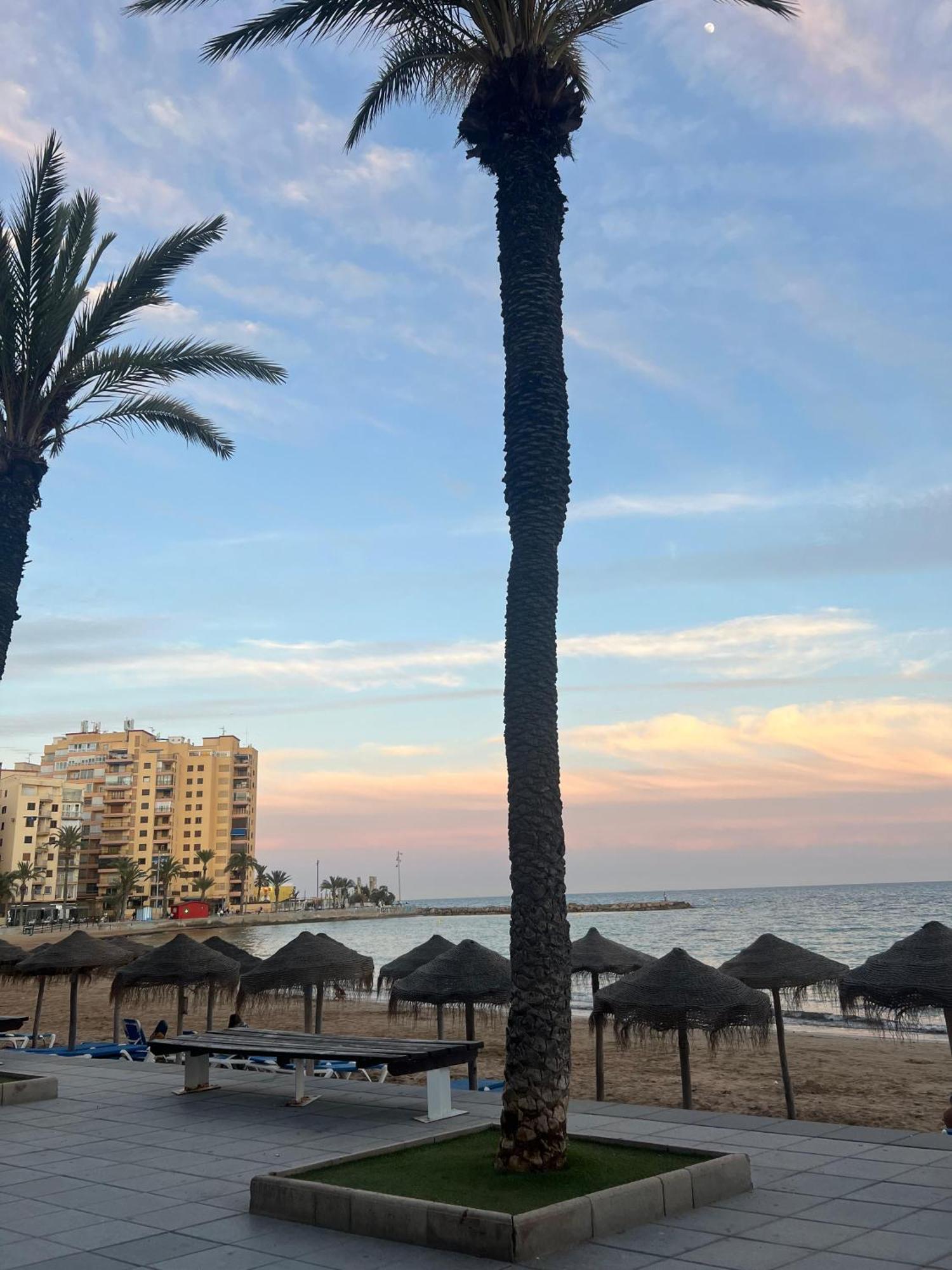 Appartement Torrevieja Alicante 외부 사진
