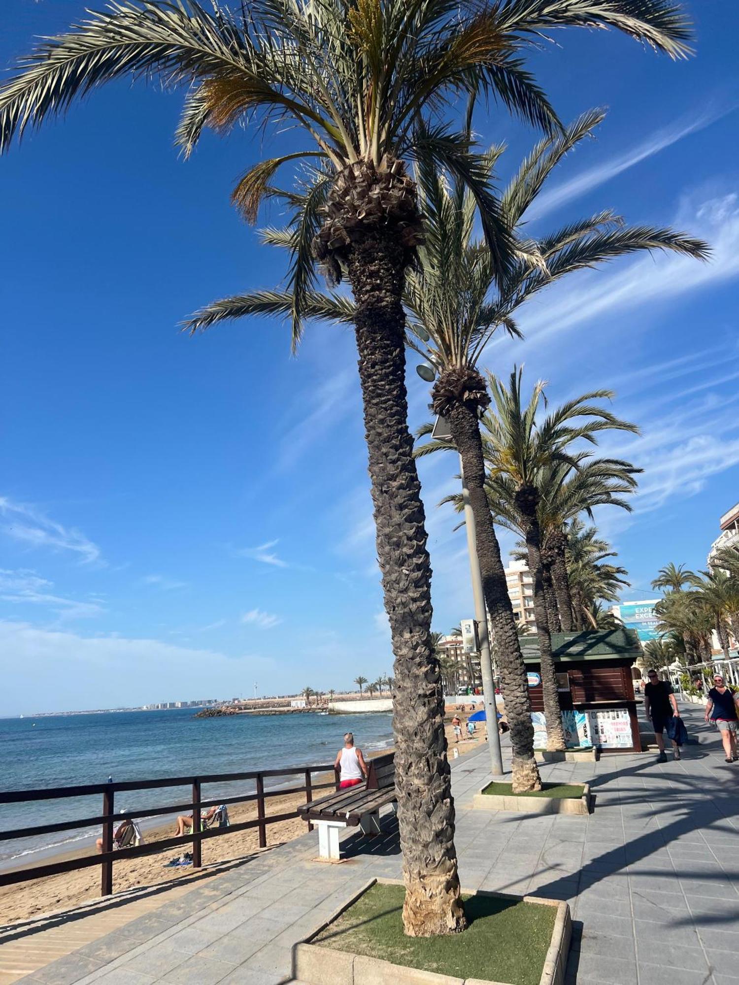 Appartement Torrevieja Alicante 외부 사진